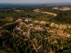 Widok z lotu ptaka na krajobraz z lasami, drogą i budynkami. W oddali widać miasto. To miejsce przypomina ptasią rzeczpospolitą, gdzie natura i cywilizacja współistnieją.
