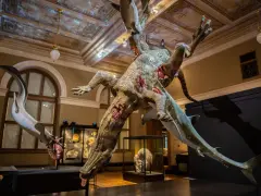 Muzeum sztuki Praga: Odkryj najważniejsze miejsca i wystawy