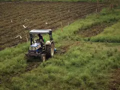 Traktor z kultywatorem pracuje na polu, spulchniając ziemię. Ptaki krążą nad pracującym rolnikiem.