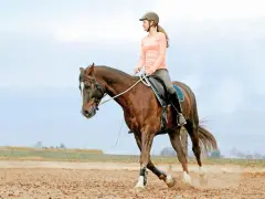 Reiterin auf braunem Pferd im Trab auf einem Sandplatz. Die Volten bedeuten für sie und ihr Pferd eine harmonische Lektion.