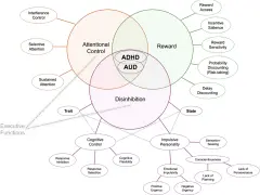 Wykres pokazuje związek między ADHD, alkoholem (AUD), kontrolą uwagi, nagrodą i zahamowaniem.