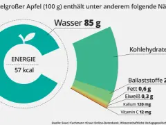 Wie viel Vitamine hat ein Apfel? Überraschende Nährstoffwerte enthüllt