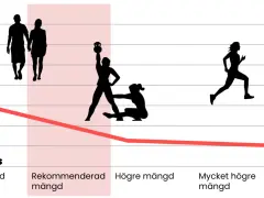 Graf visar hur en aktiv livsstil, som helkroppspass 2 gånger i veckan, kan påverka olika mått. Från lägre mängd till mycket högre mängd.