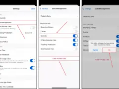 Jak usunąć ciasteczka z iPhone'a? Kompletny przewodnik