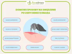 Domowe sposoby na ukąszenia komarów: olejki lawendowy, cytrynowy, goździkowy, z mięty pieprzowej, eukaliptusowy, herbaciany, sok z cytryny, zimne okłady i plastry z aloesu.