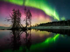 Une aurore boréale spectaculaire illumine le ciel de verts et de roses au-dessus d'un lac calme reflétant le paysage et les arbres dénudés.