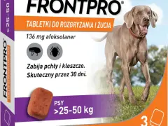 Jakie tabletki na kleszcze dla psa? Wybierz najlepsze i bezpieczne!
