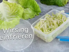 Frischer Wirsing, bereit zum Einfrieren in einer transparenten Box. So bleibt das Gemüse lange haltbar.