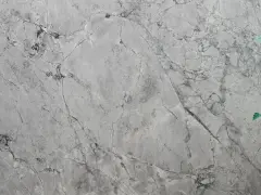 Szary **dolomit** z ciemnymi żyłkami, przypominający marmur. Po prawej stronie widać fragment zielonych liści rośliny.