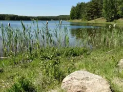 Spokojne jezioro Czarne na Kaszubach, otoczone trzcinami i lasem. Woda odbija błękitne niebo.