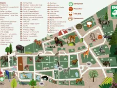 Kraków z dziećmi: Atrakcje na każdą pogodę i kieszeń!