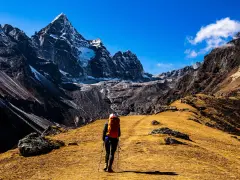 Osoba z plecakiem i kijkami wędruje przez żółtą trawę w kierunku ośnieżonych gór. To jest właśnie co to jest hiking.