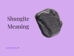 Pietra di shungite nera, nota per le sue proprietà protettive e purificanti.