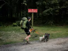 Spacerka po Bory Tucholskie z dwoma psami. W tle znak Parku Narodowego Gór Stołowych.