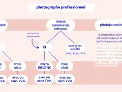 Schéma des statuts de photographe : artistique, libéral, commercial, artisanal, photojournaliste.