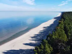 Spokojny zalew Wiślany o błękitnej tafli, piaszczysta plaża i gęsty las sosnowy tworzą malowniczy krajobraz.