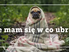 Nie mam się w co ubrać demotywatory - śmieszne memy na ten temat