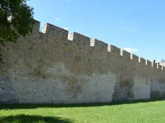 Kamienne blanki starego muru obronnego, porośnięte trawą i oświetlone słońcem.