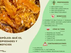 Propolis: qué es, sus propiedades antisépticas y beneficios para combatir bacterias. Se presenta en diversas formas.