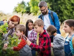 Ile zarabia wychowawca na kolonii? Zaskakujące różnice w wynagrodzeniu