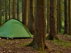 Zielony namiot i rowery czekają na nocleg pod namiotem w gęstym lesie.
