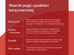 Upadłość konsumencka: Ile naprawdę zapłacisz za wolność?