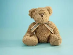 Jak wyczyścić pluszowego misia i przywrócić mu świeżość