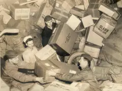 Gitarre per DHL versenden: Kosten, Verpackung & Versicherung (Anleitung)