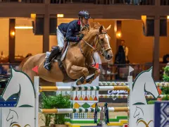 Cavalier et cheval en plein saut d'obstacles, une scène digne de dubai du cedre.
