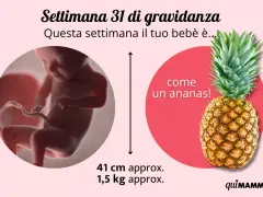 A 31 settimane di gravidanza, il tuo bimbo è grande come un ananas! Pesa circa 1,5 kg.