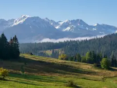 Gubałówka wysokość. Majestatyczne Tatry z ośnieżonymi szczytami górują nad zielonymi zboczami i gęstym lasem.