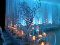 A long table set for an event with white chairs, candles, and white tree branches decorated with small lights.