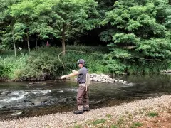 Ein Angler übt die fliegenfischen wurftechnik an einem Fluss. Die Schnur bildet einen eleganten Bogen in der Luft.