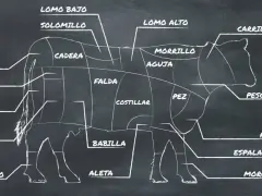 Diagrama de las partes de la vaca, mostrando cortes como solomillo, lomo alto, falda y morcillo.