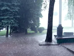 Intensywny deszcz nawalny zalewa parkową alejkę i trawnik. Drzewa pochylają się pod naporem wody.