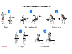Programme de remise en forme pour débutants : squat, développé couché, rowing barre, curl biceps, extension triceps.