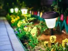 Giardino illuminato da lampade solari, un'idea per il tuo giardino fai da te a costo zero. Fiori gialli e viola illuminano il sentiero.