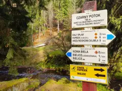 Znaki szlaku turystycznego PTTK w lesie, wskazujące drogę do Czarnego Potoku, Białego Splawu i Nowej Bieli.