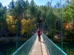 Senderista cruza puente colgante sobre el río, camino al Salto de Poveda y la Laguna de Taravilla. Bosque otoñal.