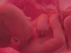 Dziecko w łonie matki, otoczone pępowiną. Obraz symbolizuje modlitwę w intencji nienarodzonego dziecka i jego zdrowia.