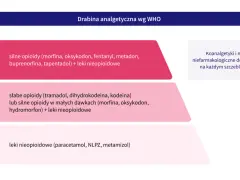 Drabina analgetyczna WHO: silne i słabe leki opioidowe (morfina, oksykodon, tramadol) oraz nieopioidowe (paracetamol) stosowane w leczeniu bólu.