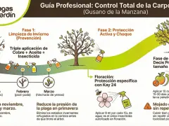 Guía para controlar la carpocapsa (gusano de la manzana) con tratamientos preventivos en invierno y protección activa en floración.