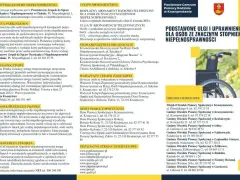 Informator o ulgach i uprawnieniach dla osób ze znacznym stopniem niepełnosprawności. Wózek inwalidzki na tle zieleni.