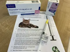Wichtige Medikamente bei Schilddrüsenüberfunktion bei Katzen und ihre Wirkung