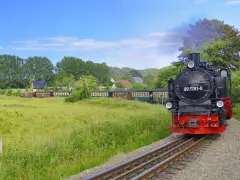 Parowóz z wagonami jedzie przez zielone pola, jakby to był dojazd z Polski do Rugii.