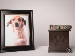 Ramka ze zdjęciem psa i urna z obrożą.