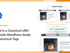 Guide WordPress sur l'URL canonique et les balises rel="canonical" pour éviter les pages dupliquées.