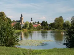 Idyllischer Elsenzer See mit Seerosen, Bäumen und einer Kirche im Hintergrund. Ein Boot mit zwei Personen treibt auf dem Wasser.