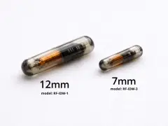 Dwa chipy dla psa: większy 12mm i mniejszy 7mm, oba w szklanej kapsułce z widocznym miedzianym uzwojeniem.