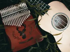 Kalimba 17 blaszek jak grać? Instrumenty muzyczne leżą wśród zieleni.